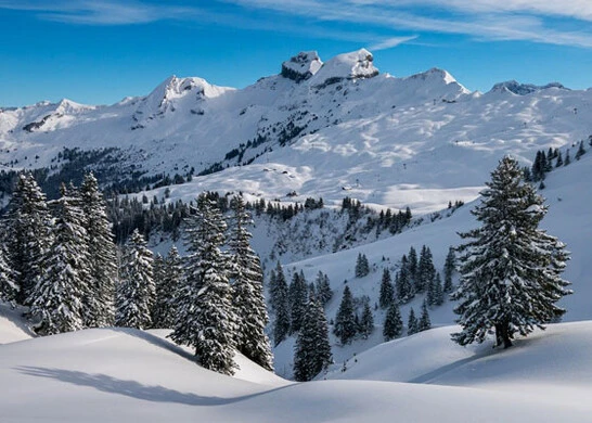 Verschneiter Berg