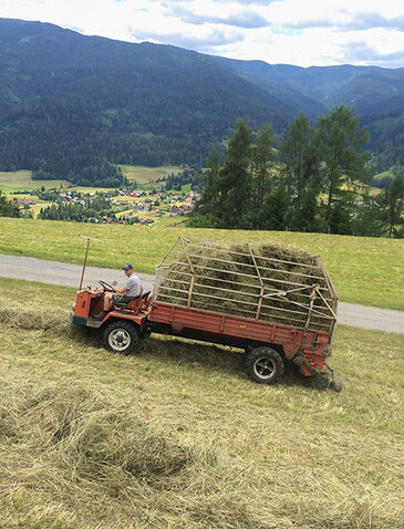 Roter Traktor mit Heu